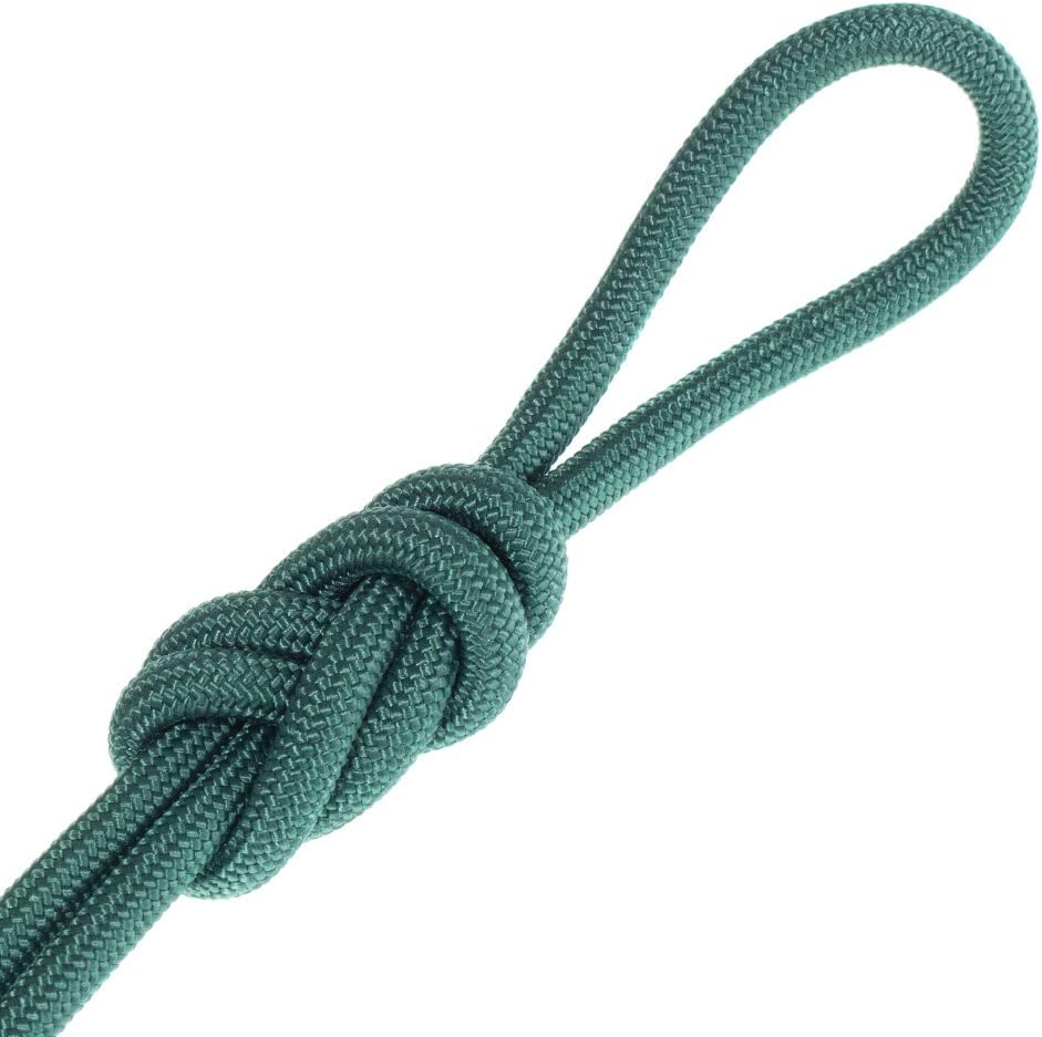 Nylon Accessory Cord 1/4 Inch (6 MM) and 5/16 Inch (8 MM) Paramax Nylon Cord - All-Purpose Utility - for Dog and Pet Collars, Belts, Gear Bundles, Tie-Downs, Horse Halters (50 Feet and 100 Feet)