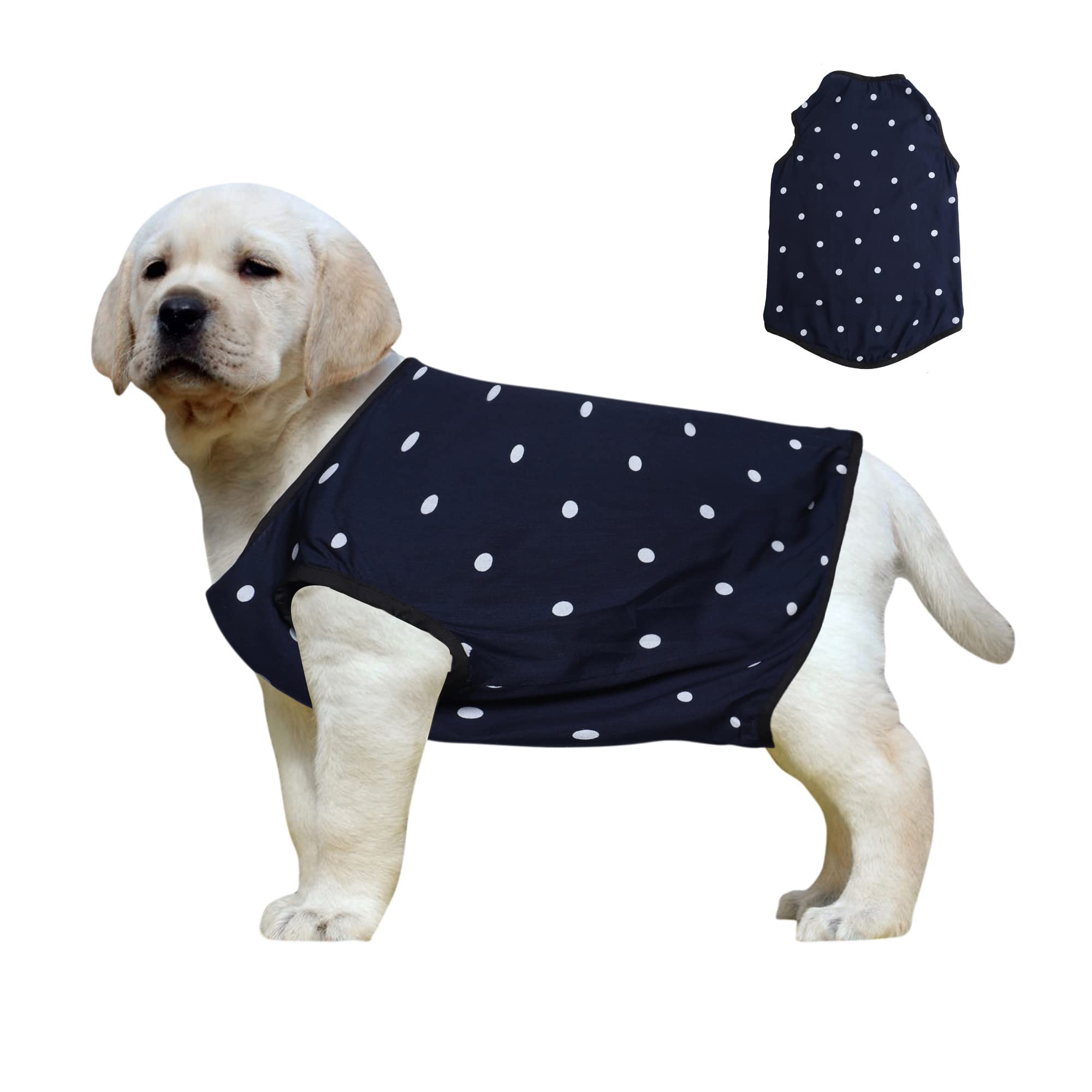 Western Era Funky Soft Cotton Dog T-Shirt | Comfortable & Breathable Dog Clothing | Sleeveless Vest Puppy Outfit |(Polka Blue) (XLarge - 26inches) (B09WMTZQTL) Amazon Price History, Amazon Price Tracker