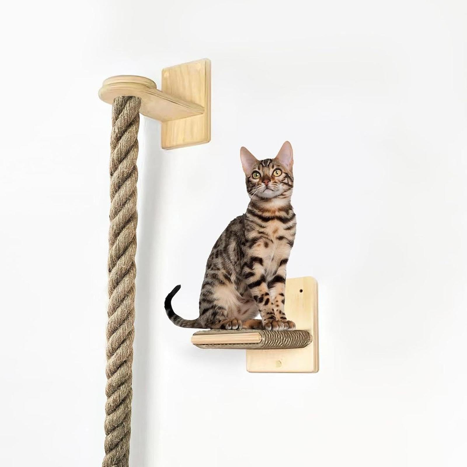 Amazon | Cuticate 【2025新開発・最大耐荷重30KG】猫用 Amazon | Cuticate 【2025新開発・最大耐荷重30KG】猫用