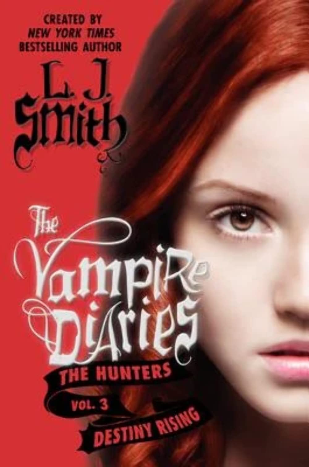 The Vampire Diaries: The Hunters: Destiny Rising: A Young Adult Paranormal Romance – Love, Brothers, and a Terrible Sacrifice Paperback – October 22, 2013