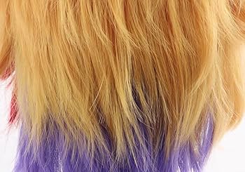 ホロスターズ　コスプレ　緋崎ガンマ　ウィッグ Amazon.co.jp: コスプレウィッグ 緋崎ガンマ 原宿 男子かつら