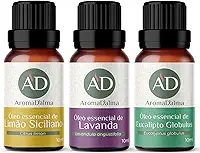 KIT BÁSICO DE AROMATERAPIA - 3 Óleos Essenciais 100% Puros. Lavanda, Limão e Eucalipto - Ideal Para Difusor, Aromaterapia e Cuidados Com o Corpo - Aroma D’alma