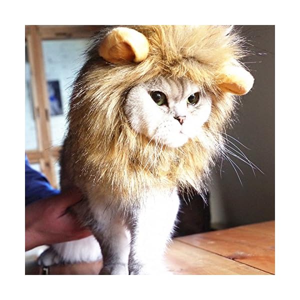 Idepet dog cat lion mane - realistic funny lion mane for dogs - complementary lion mane hat for dog cat costumes,halloween lion mane costume for cat & dog (cat lion mane)