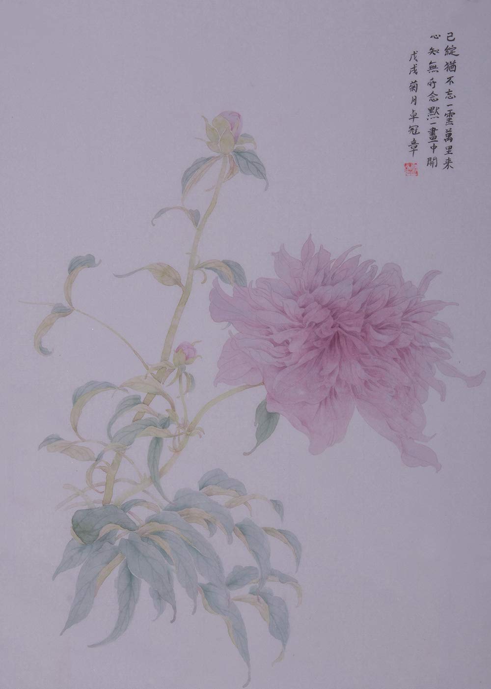Amazon.co.jp: 中国画 シャクヤク花 細密画 絵画水墨 写意 水彩 書画