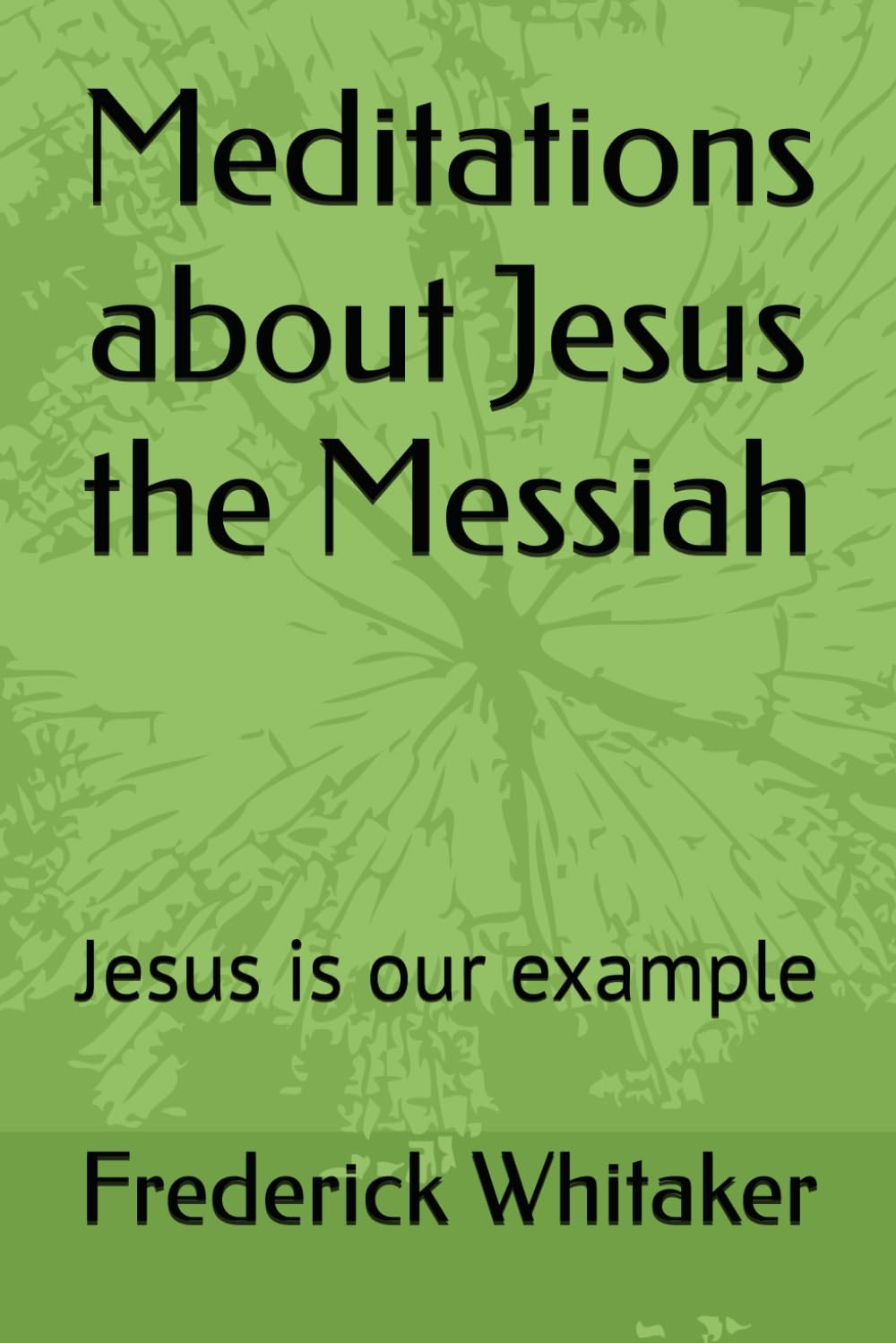 Meditations about Jesus the Messiah: Jesus is our example