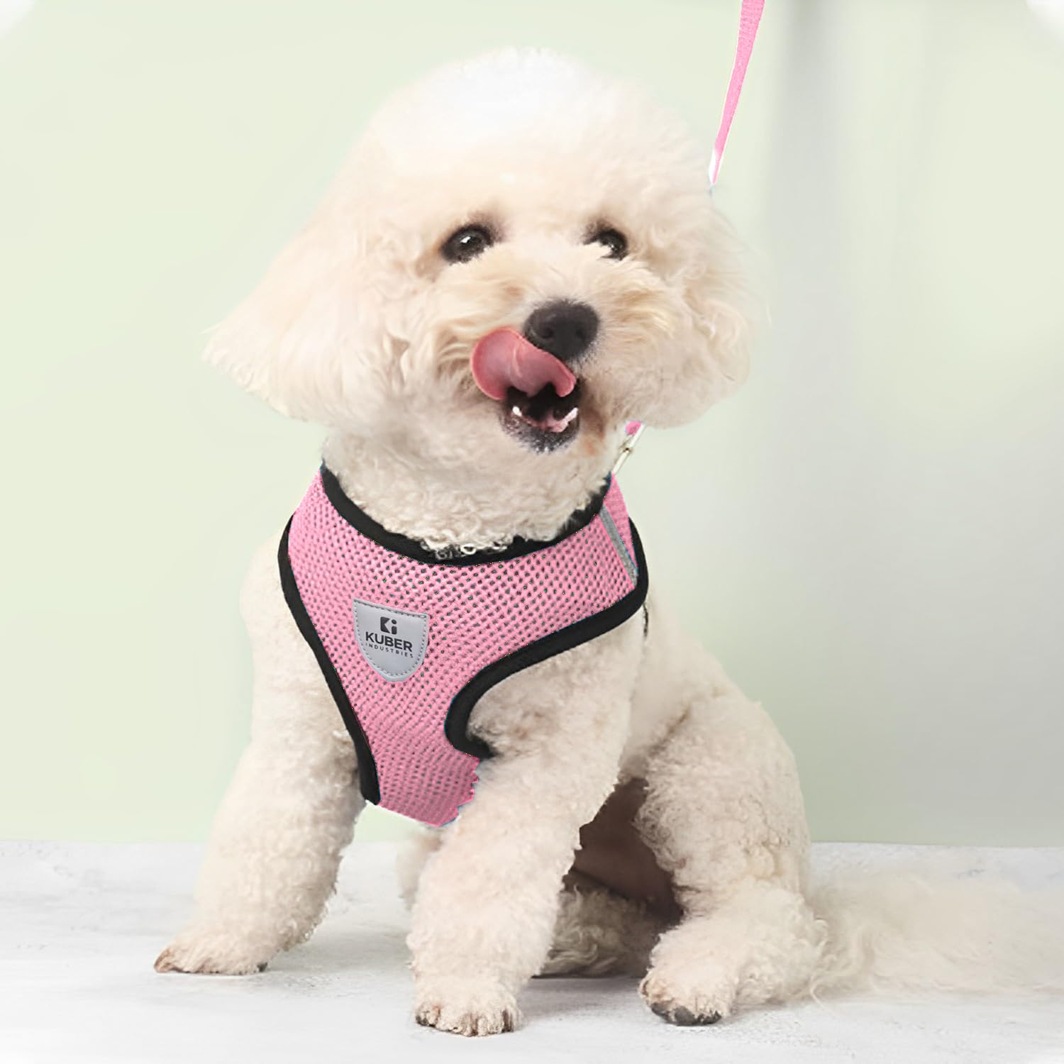 See full amazon price history chart for Kuber Industries Dog Harness with Adjustable Leash | Breathable Polyester Mesh|Large Size|Comfortable No-Pull Grip | Quick Release Buckles | Pink Pet Walking Set | Secure and Stylish Dog Harness Kuber Industries Dog Harness with Adjustable Leash | Breathable Polyester Mesh|Large Size|Comfortable No-Pull Grip | Quick Release Buckles | Pink Pet Walking Set | Secure and Stylish Dog Harness (B0CJ5F9Q18) Amazon Price History, Amazon Price Tracker