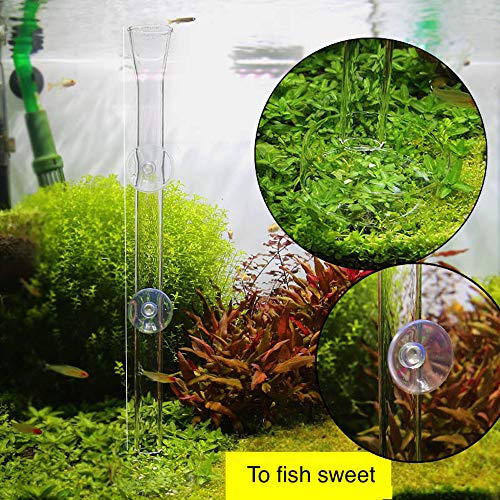 Shrimp Feeding Tube and Dish,2 Cup Clear Crystal Glass Fish Tank Shrimp Feeder Tube Tray - Image 4
