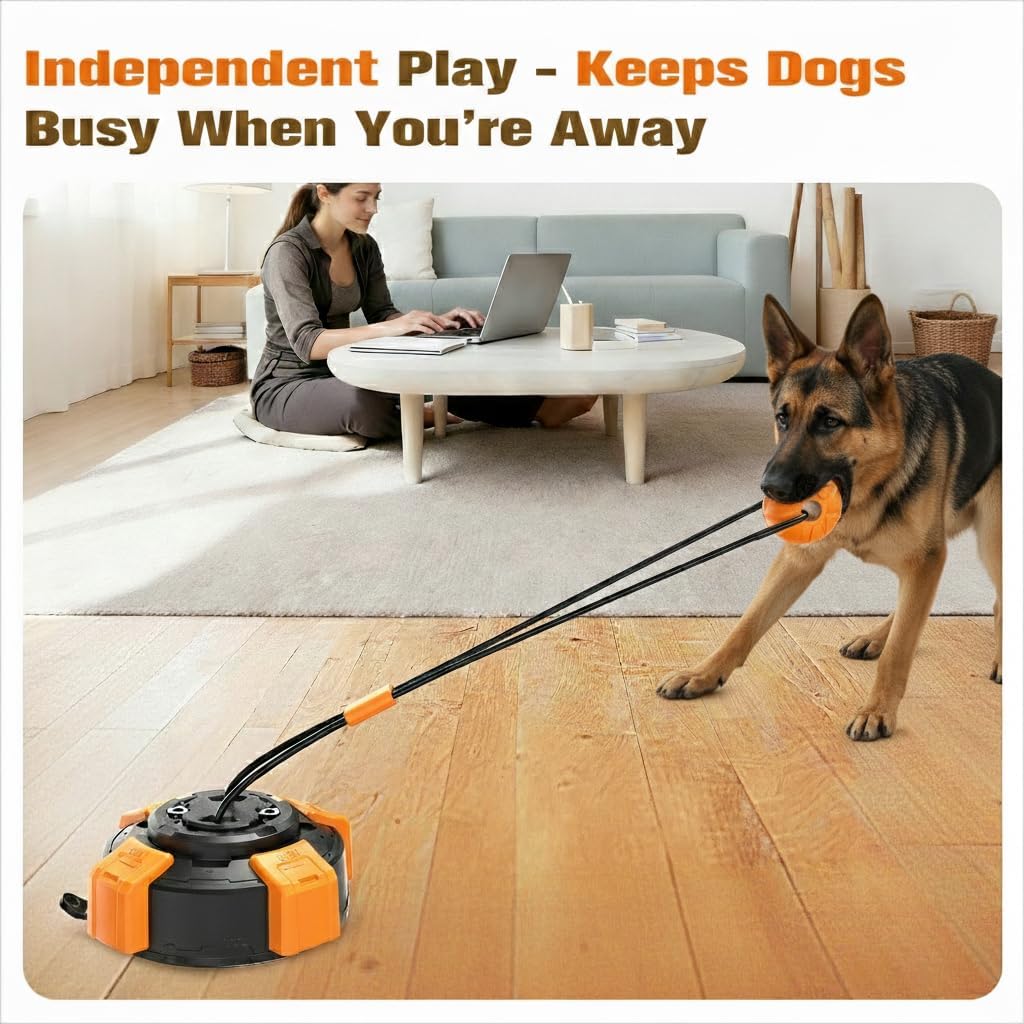 Frozen Dog Treat Toy & Suction Cup Dog Toy for Large & Medium Dogs- Complete Dog Toy Set with Rope Toy and Puzzle Toy for Aggressive Chewers, Interactive Chew Toys for Mental Stimulation