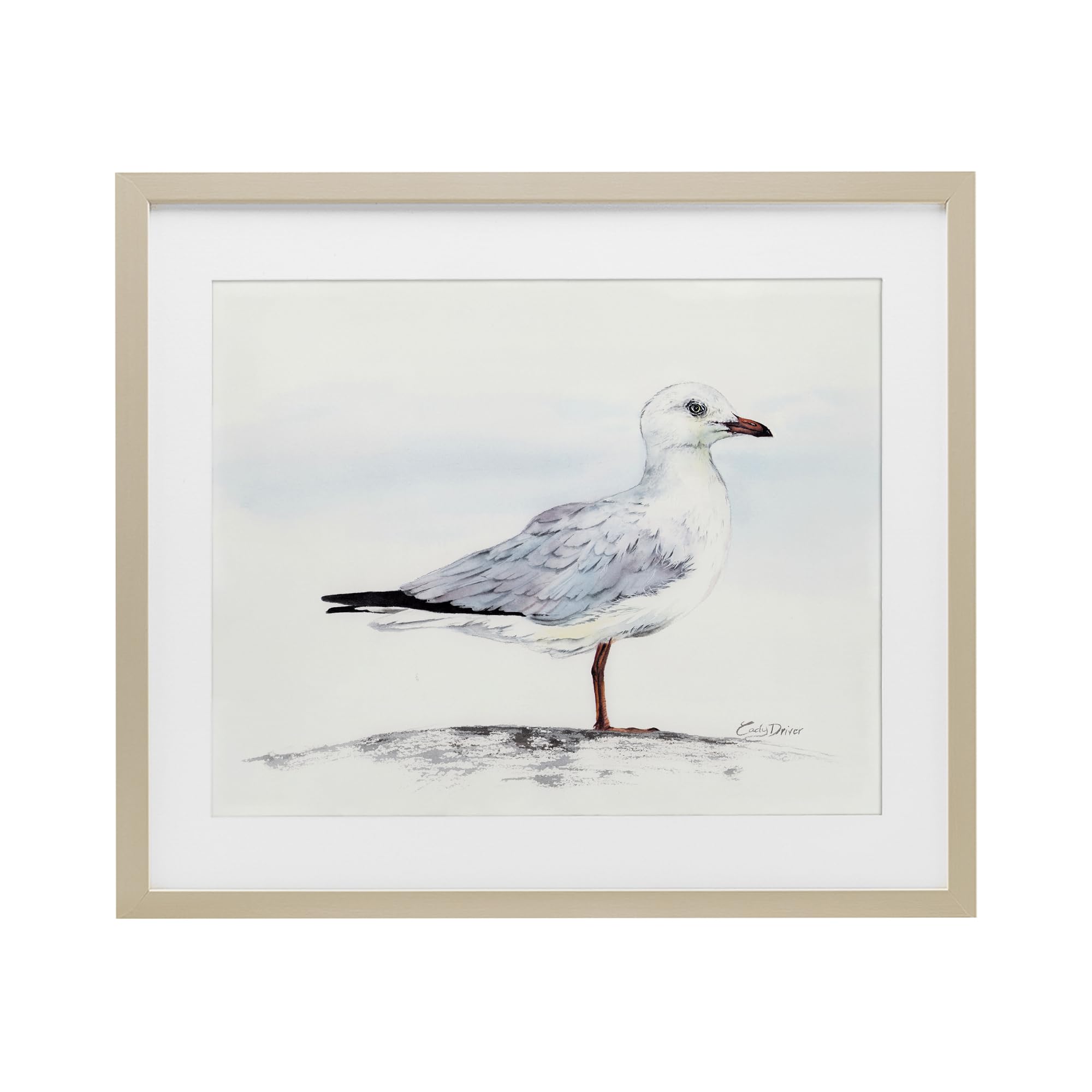Stupell Industries Seagull On Sand Portrait Birch Framed Print Under Glass, design by Cady Driver, 17 x 21