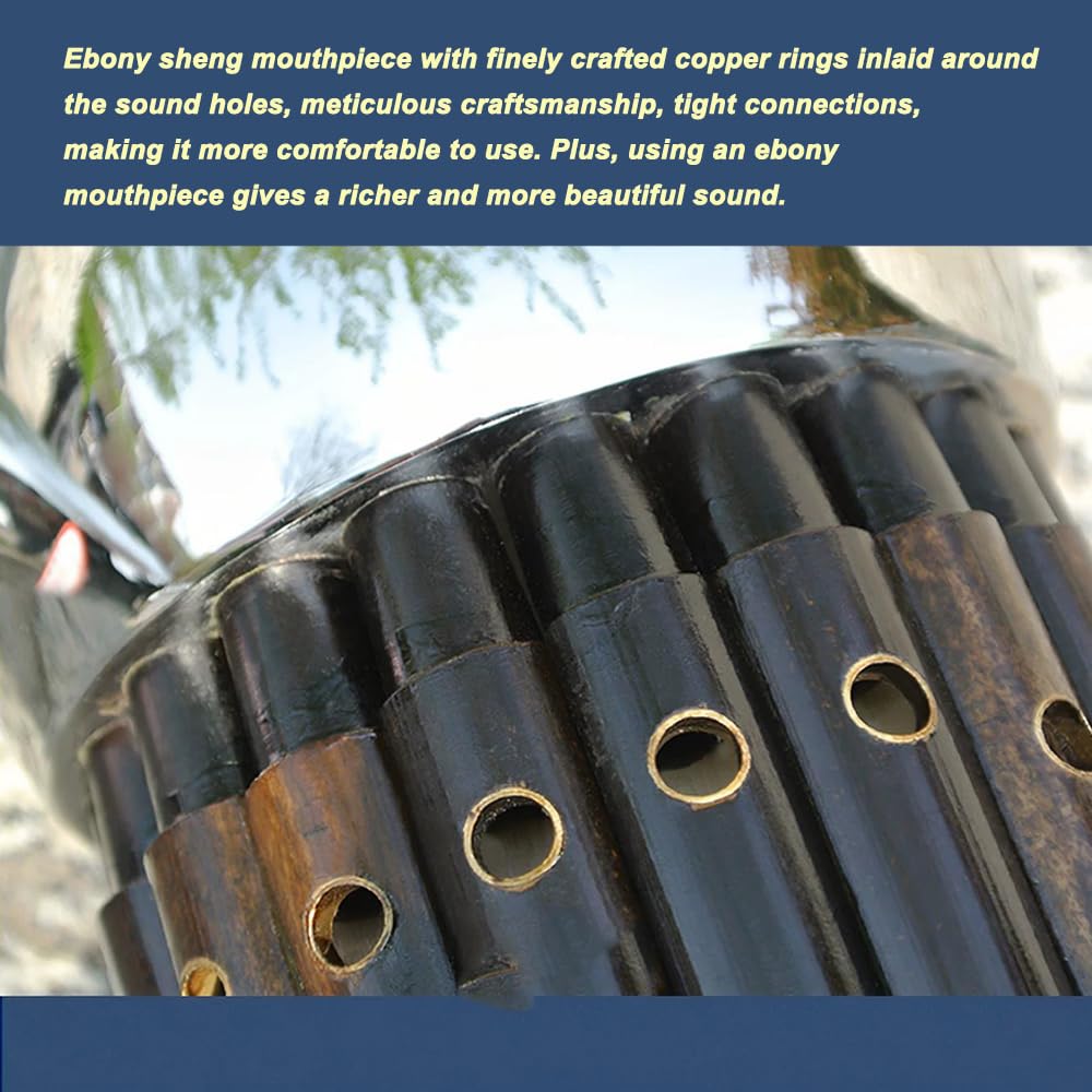 Okrągły Sheng na 17 rurek, zawiera futerał do przenoszenia