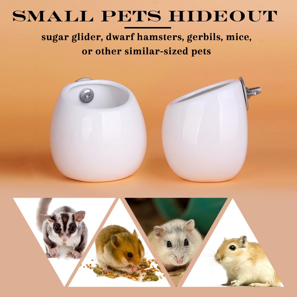 Amazon | ハムスター ハウス モモンガ 巣 小動物 家 隠れ家 寝床 陶器