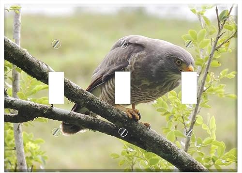 Switch Plate Triple Toggle - Landscape Rural Area Kettle Armenia Quindio 1