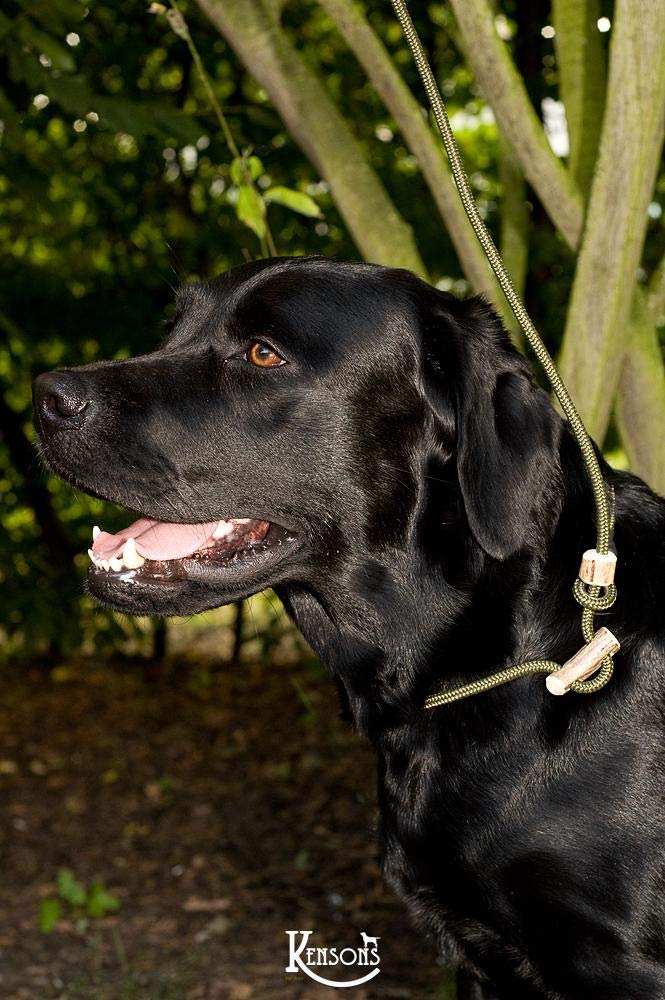 KENSONS For Dogs Retrieverleine 'Sporty' | 6mm Tauleinte Mit Hirschhorn-Zugstopp – Führleine & Halsband In Einem