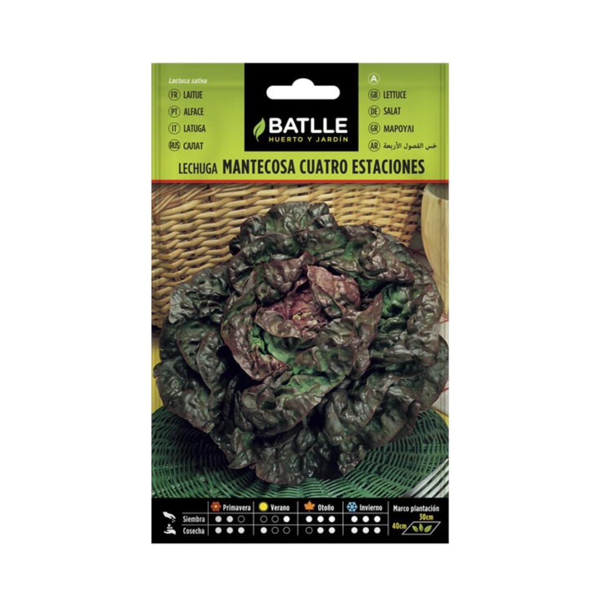 Batlle Gemüsesamen - Salat 4 Jahreszeiten (5600 Samen)