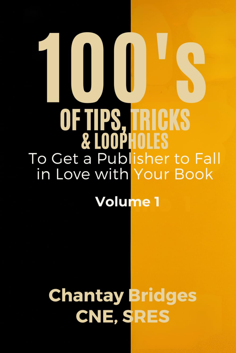 100’S OF TIPS, TRICKS & LOOPHOLES: To Get a Publisher to Fall in Love With Your Book! Volume 1