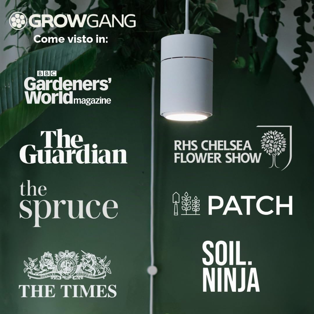Claria - Lampada LED per piante da appartamento
