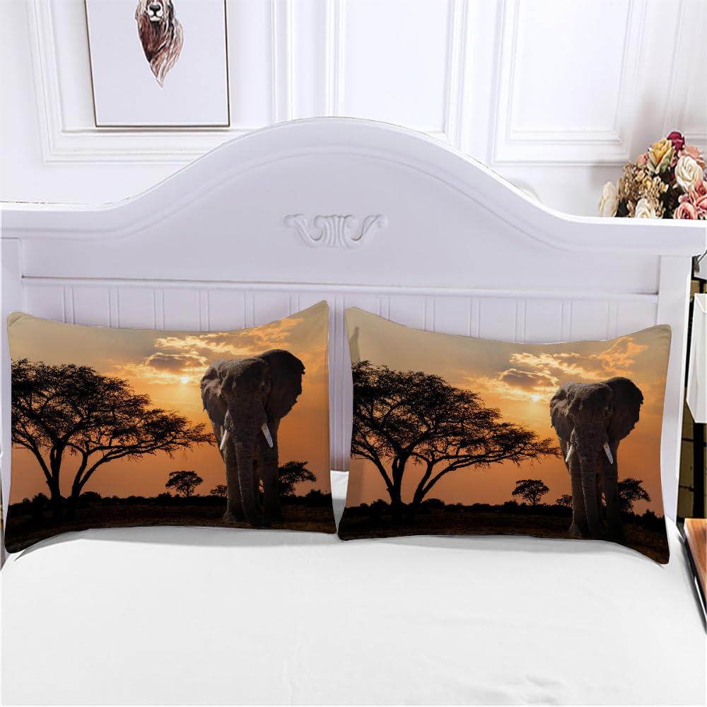 Komplet pościeli 220x240 cm dorosły 3D wzór słonia poszwa na kołdrę z mikrofibry 2 osoby z zamkiem błyskawicznym Afryka zwierzęta 3 sztuki z 2 poszewkami na poduszki 50x75
