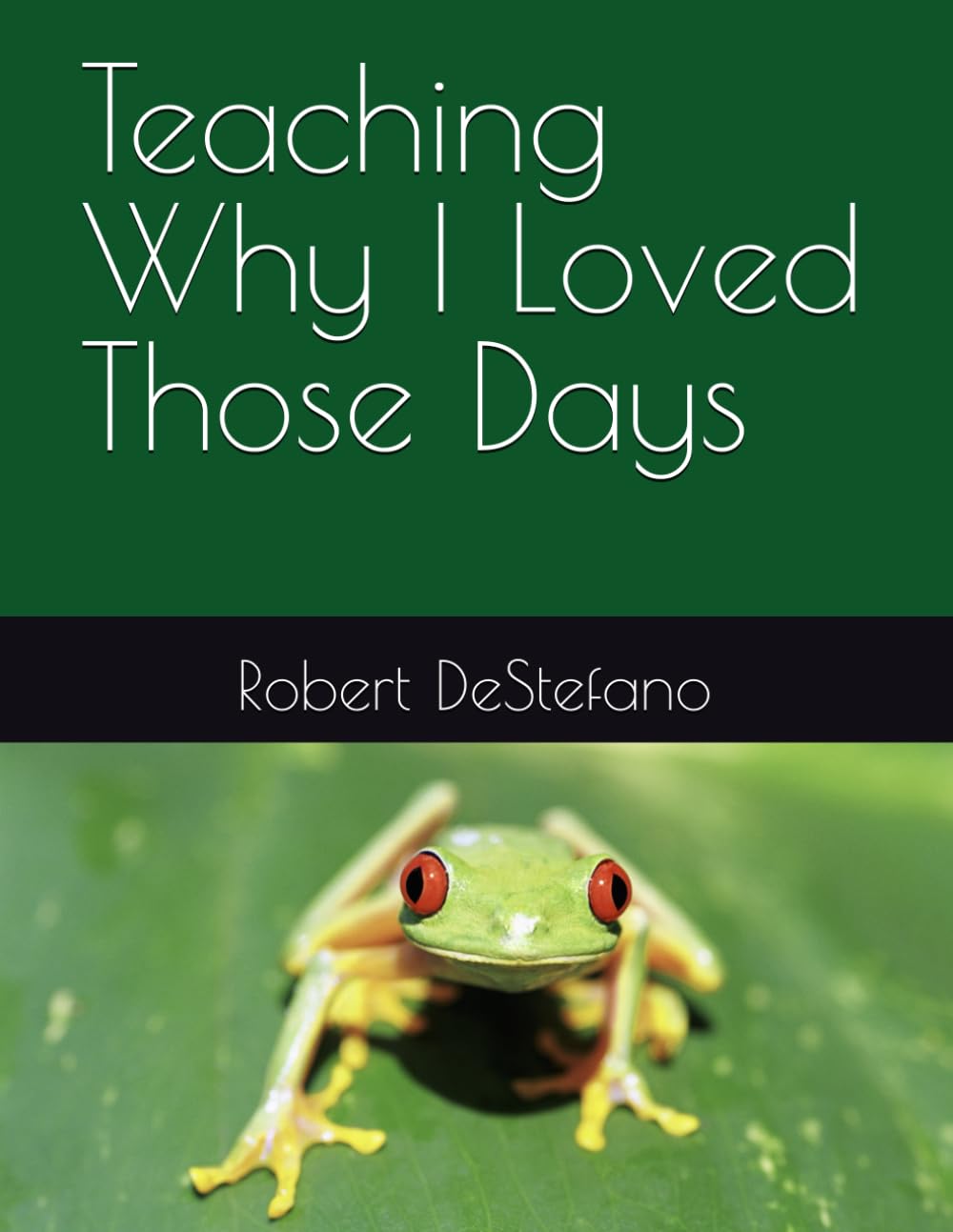Teaching Why I Loved Those Days