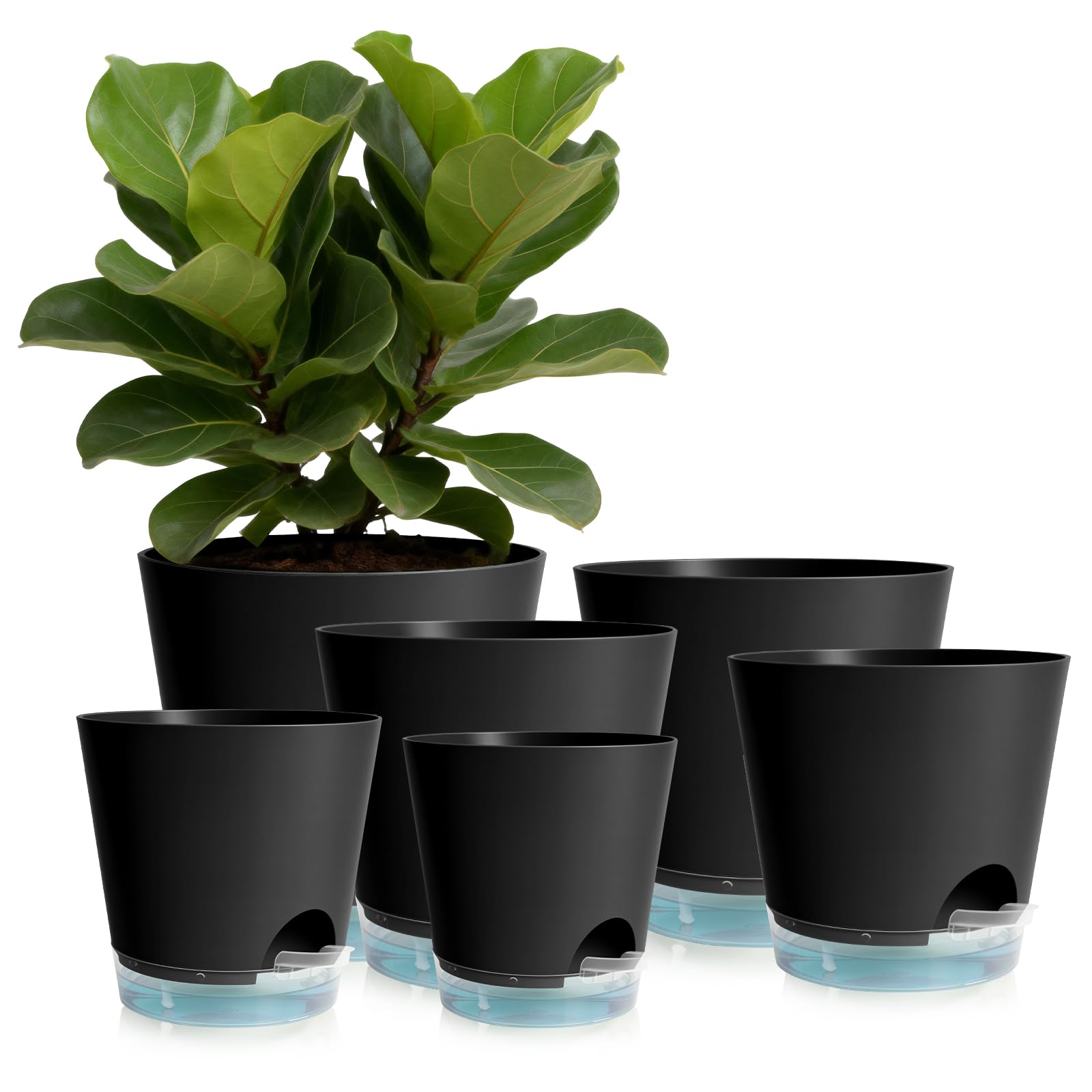 GARDIFE 6-Pack (4-7")