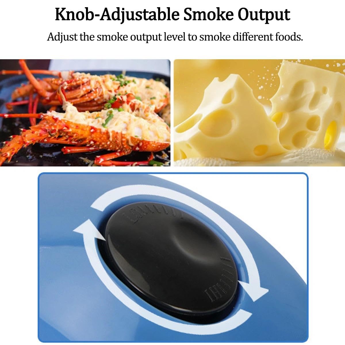 Générateur de fumée froide avec pompe à air réglable, fumoir électrique pour griller la viande, le fromage et le poisson – Parfait pour les barbecues en plein air et le camping dans le jardin ou la