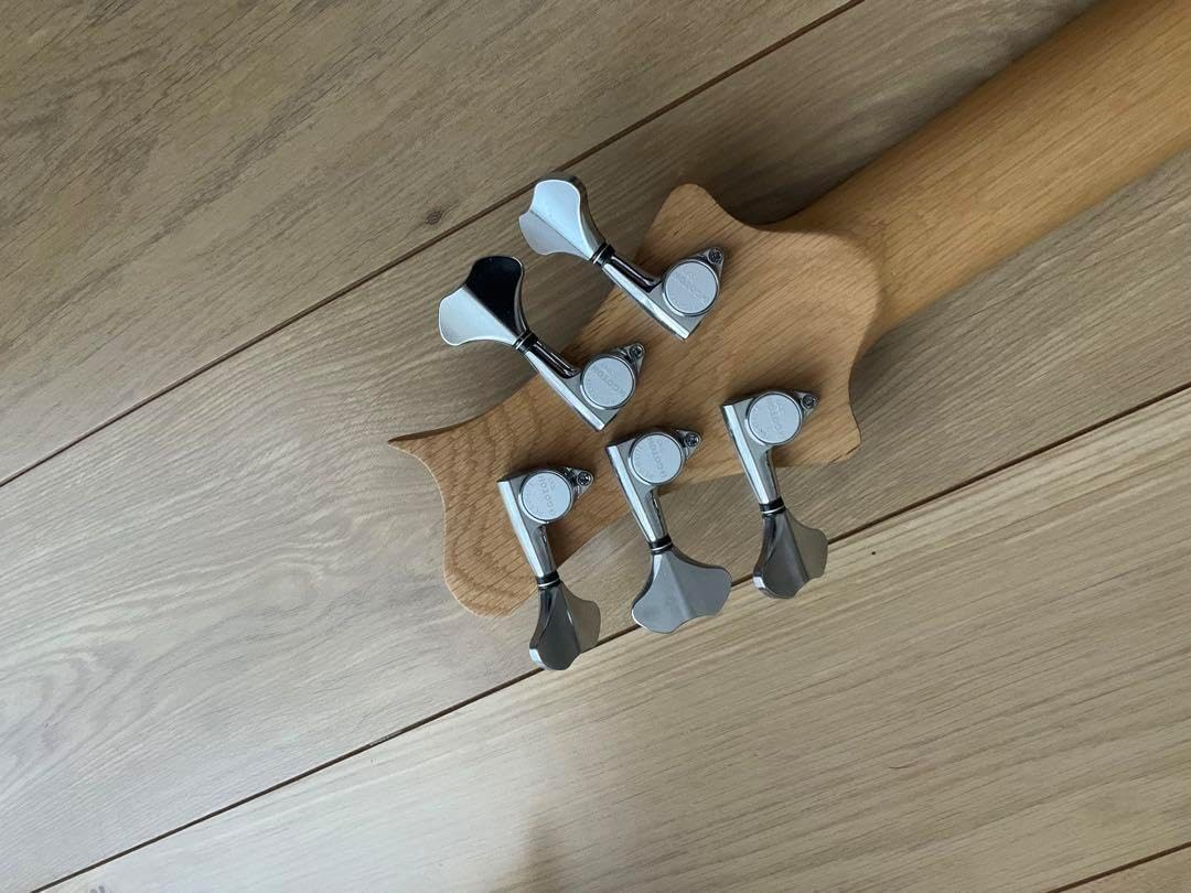Stradi Sky Fretless 5弦 エレキベース