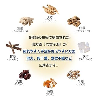 Amazon | 【第2類医薬品】六君子湯エキス〔細粒〕65 2g×48