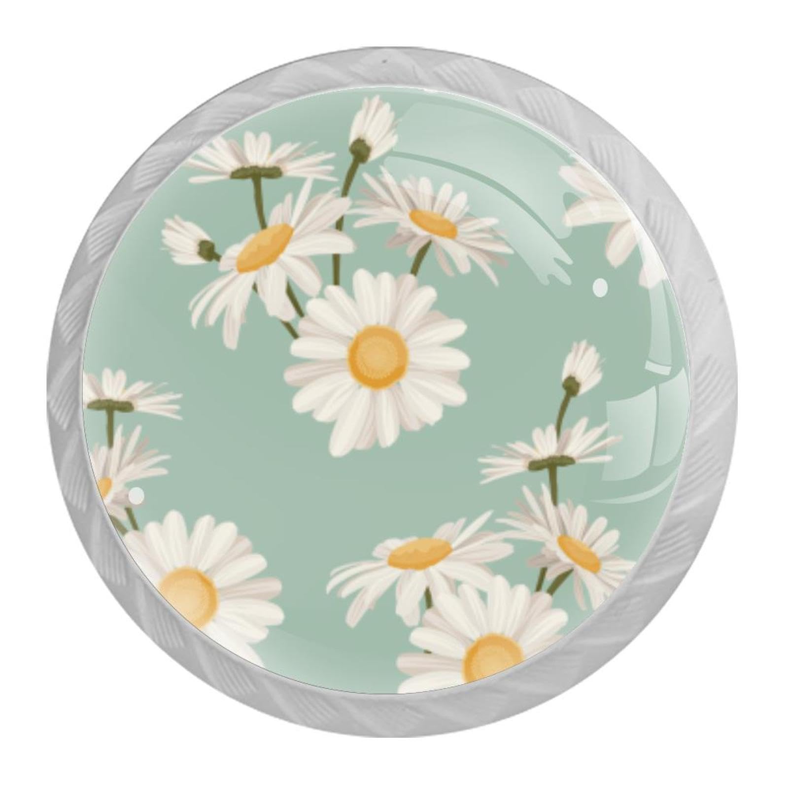 Tqmspg Multi Daisy Flowers Blossom