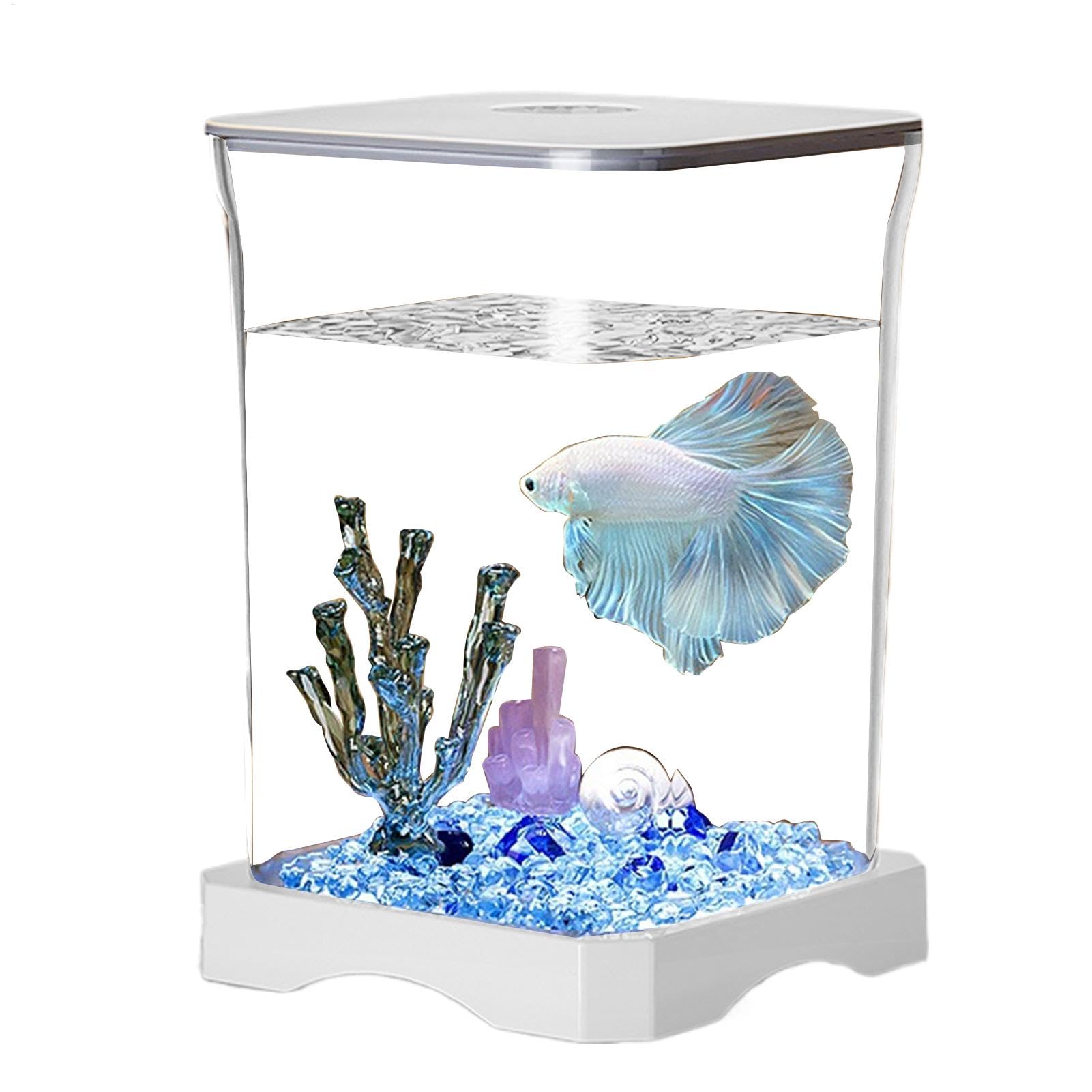 Aquarium pour chambre Teksome et éclairage LED pour petit poisson tropical