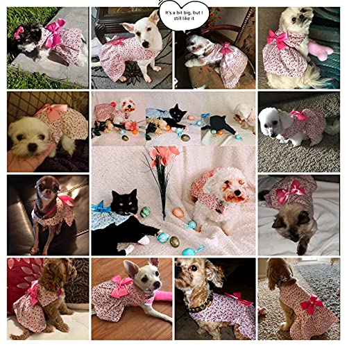 Petroom Elegant Floral Puppy Dog Dress thumb #6