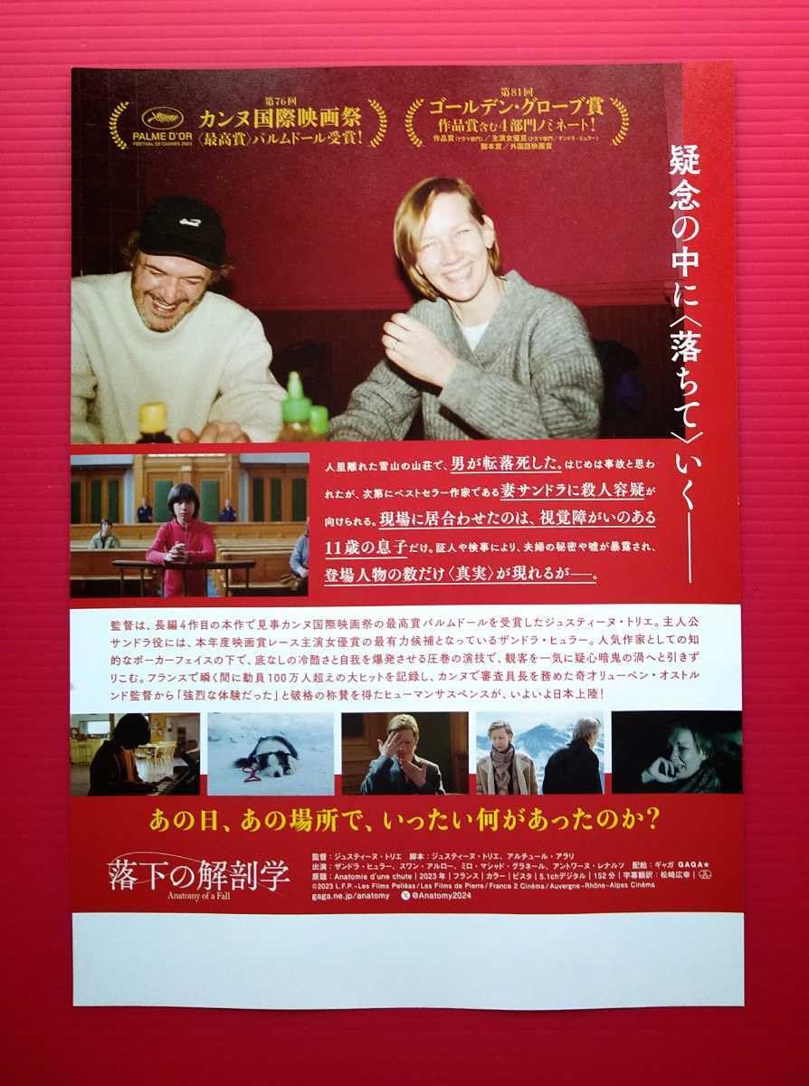 Amazon.co.jp: 映画パンフレット+チラシ 落下の解剖学 ザンドラ