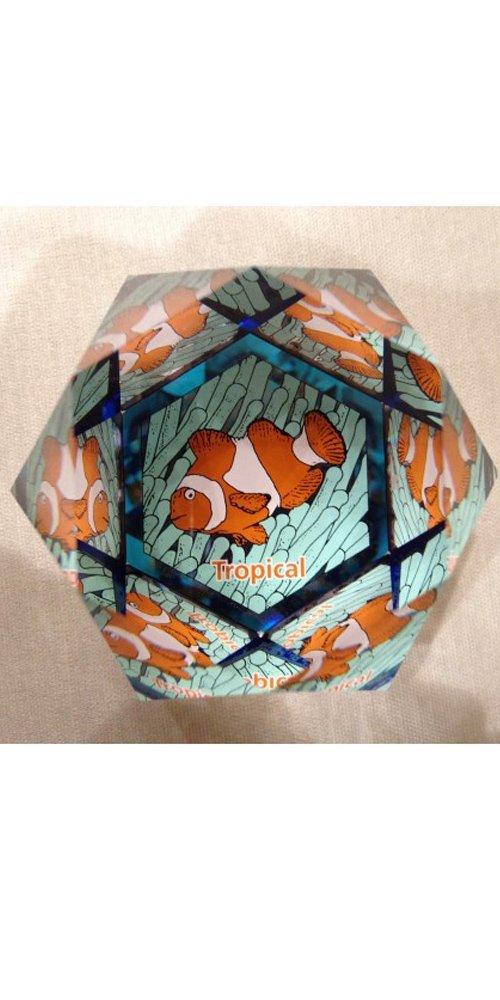 fermacarte swarovski pesce835650