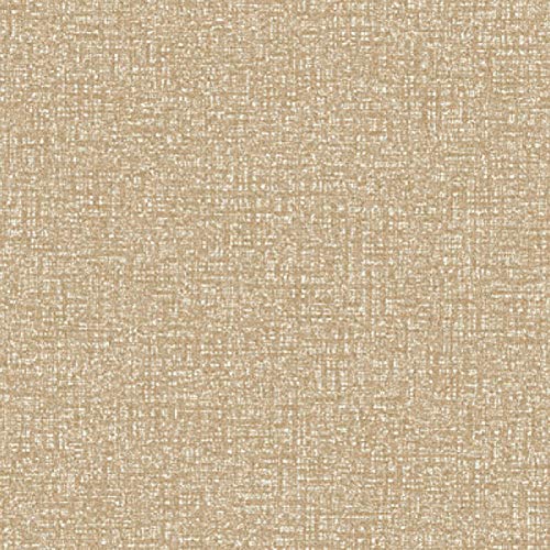 ���� LL�t���[40NW-EX ���[�X���C�^�C�� �N���X TTN1002