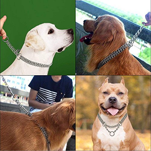 image for Berry Pet Dog Pet Martingale Pinch Metal Stainless Steel Collar for Tr