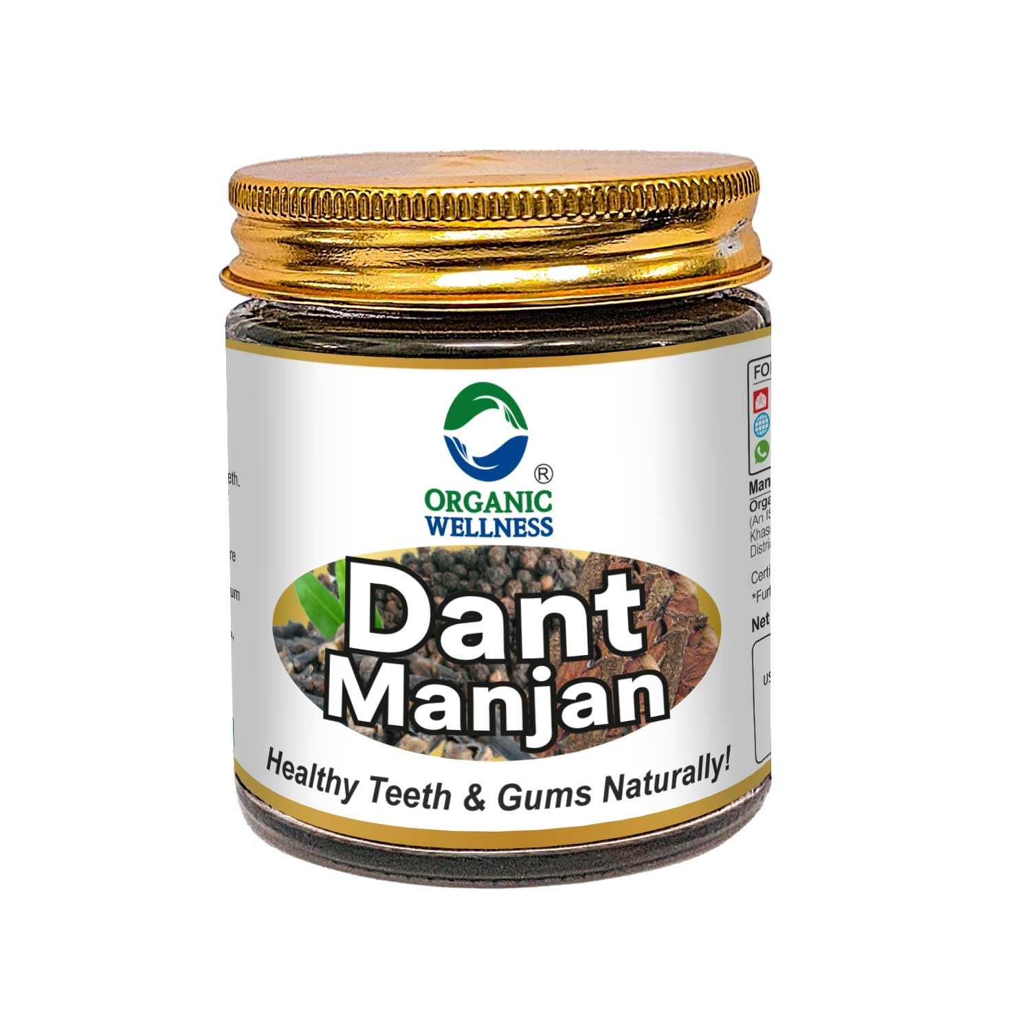 Organic Wellness Dant Manjan 40 Gram Bottle