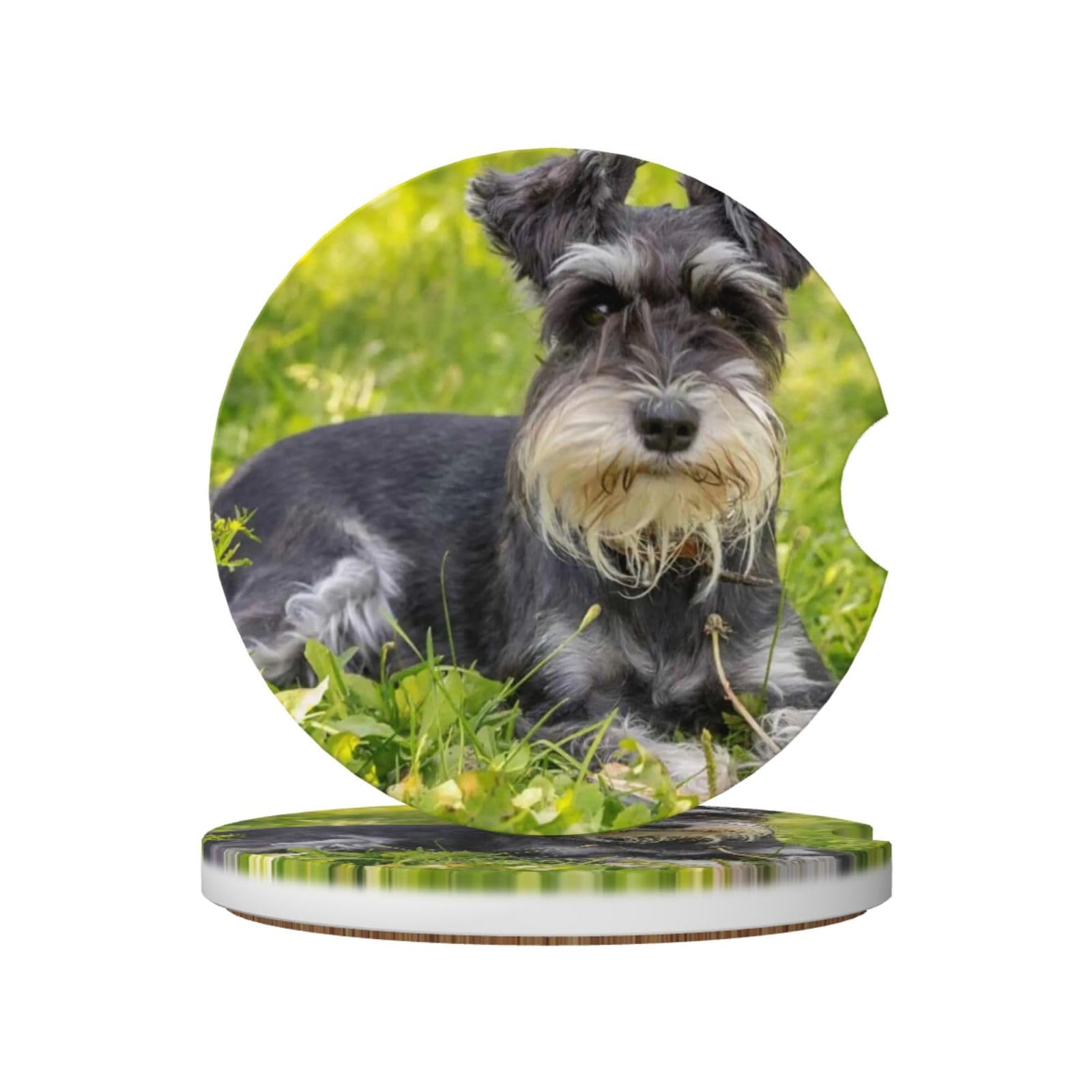 Miniature Schnauzer, Car Cup Holder Coasters 2 Pack, Absorbent Ceramic Car Coasters with Non Slip Cork Base