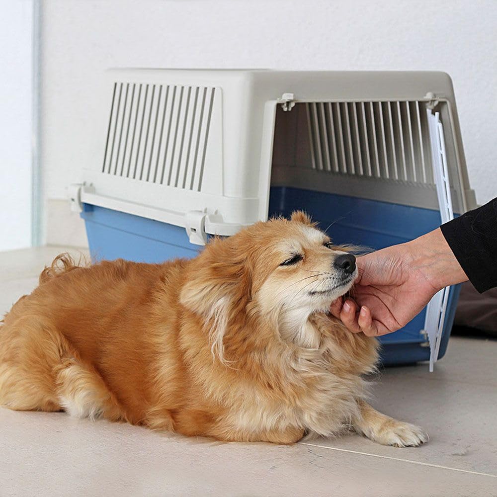 Ferplast Transportín Gatos, Transportín Perro Mediano Pequeño y Gatos hasta 15 Kg, Puerta de Hierro Plastificado, Ranuras de Ventilación, 40 x 60 x h 38 cm, Transportín Mascotas Rígido Atlas 30 EL