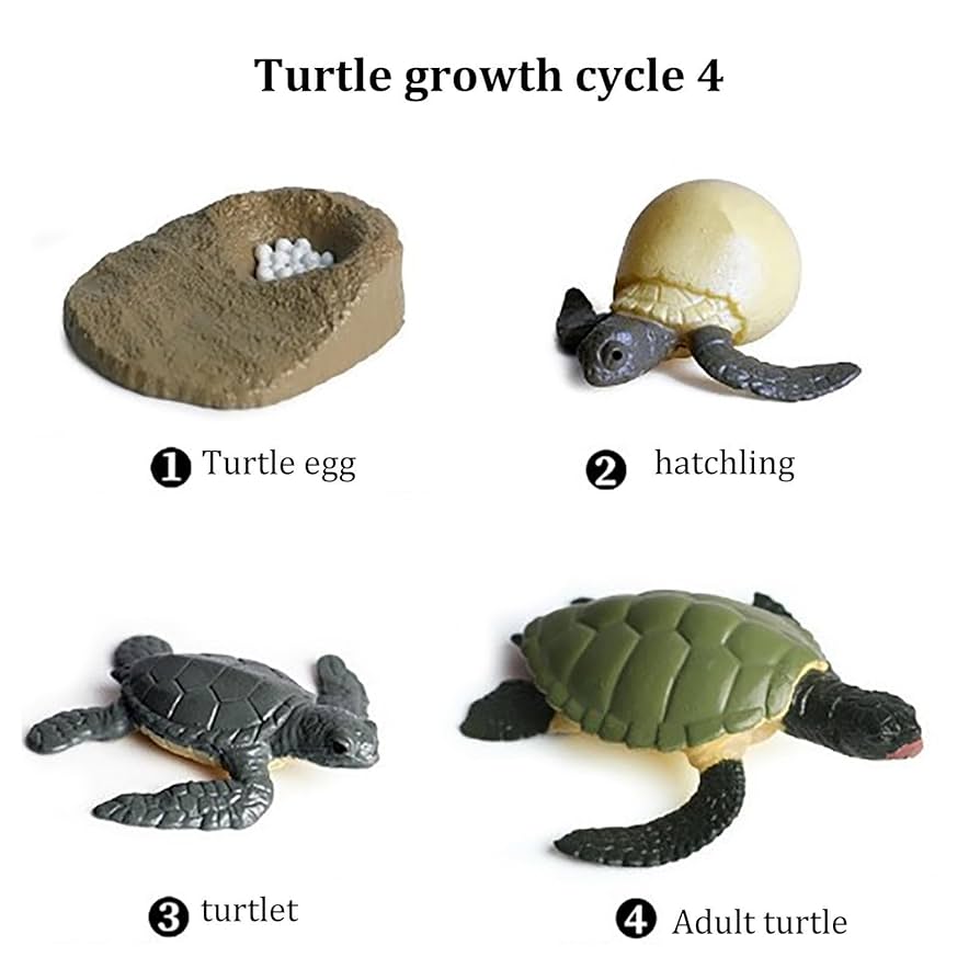 Amazon.co.jp: 海洋生物フィギュア - 9 ピース/セットウミガメと