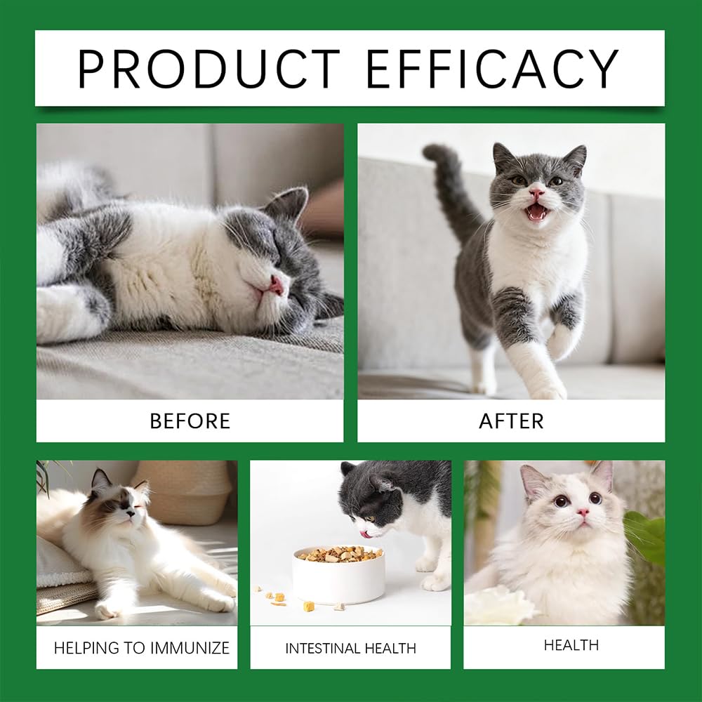 Fengyang® Gouttes Probiotiques pour Chats, Constipation Reltf pour Chats, Soulagement Doux De La Constipation, pour Une Digestion Saine