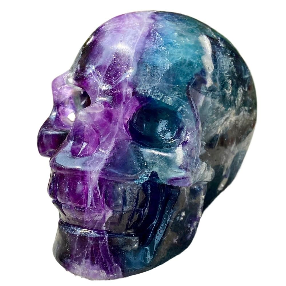 YLQUXEUV 1pc 500-550g Fluorite Skull Gemstone Room Decorated Office Furniture Collection Hand Carved