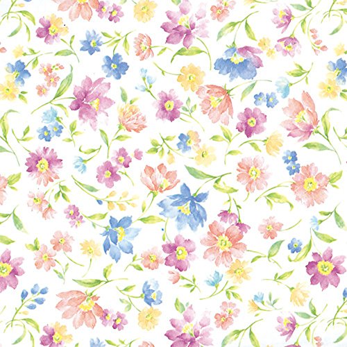 �w�C�R�[ ��� ���� �㎿�� �A���}���h 100���� 002312700