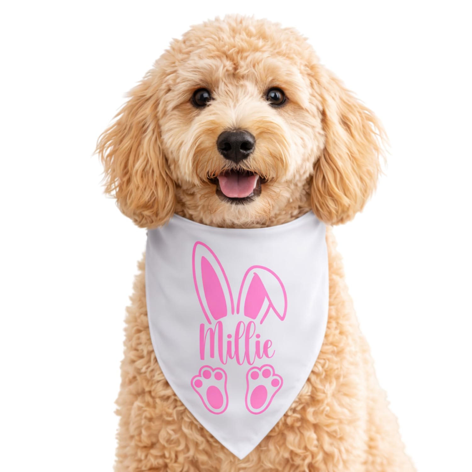Personalised Easter Pet Bandana with Bunny Ears, Custom Dog or Cat Bandana, Spring Pet Outfit, Bunny Ears Pet Accessory, Puppy Choose Your Name Gift, For Boy or Girl (M/L: 15-48cm)
