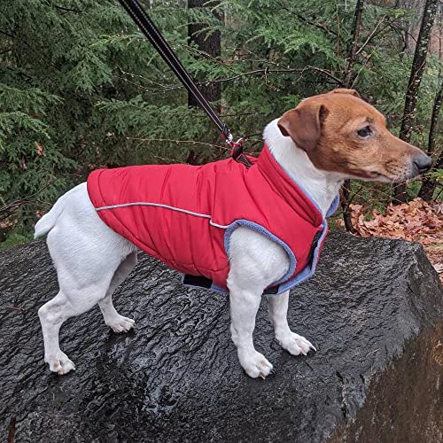 Image of Gooby Sports Vest Dog Jacket, Red, Medium