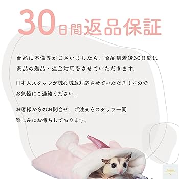 【NACCI】モモンガポーチ Amazon | TiDaOne モモンガ ポーチ おもちゃ フクロモモンガ