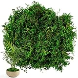 Sukh Faux Moss for Potted Plants - Artificial Moss for Crafts Fake Moss Decor Green Forest Moss Fairy Garden Plants Filler Decorative Moss Table Centerpieces Wedding Christmas Crafts Party Decor