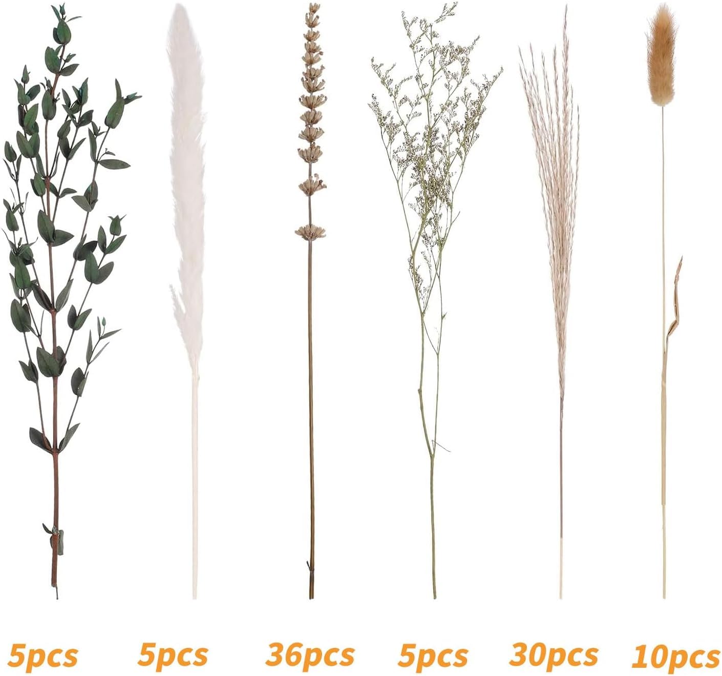 Lot de 10 Grandes Herbes de la Pampa Naturelles et moelleuses - Fleurs séchées - Décoration bohème d'automne