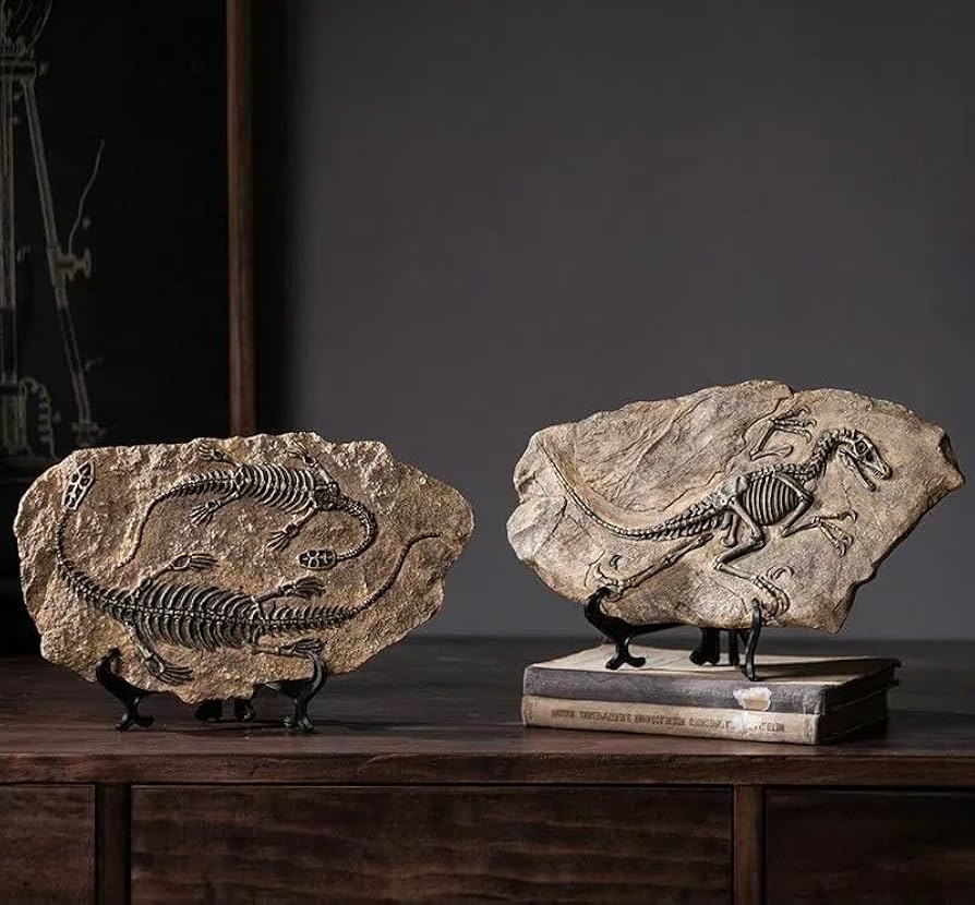 希少　レア　ウミユリ　化石　植物化石　プレート　置物 希少 レア ウミユリ 化石 植物化石 プレート 置物 希少 レア