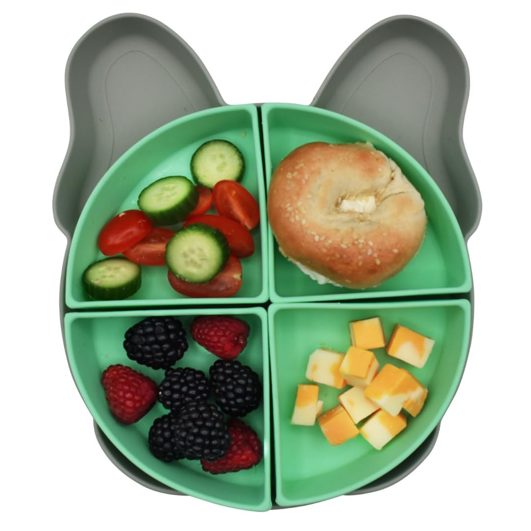 Assiette Bébé Ventouse Silicone - 100% Sans BPA, Divisée (Dinosaure) - 8
