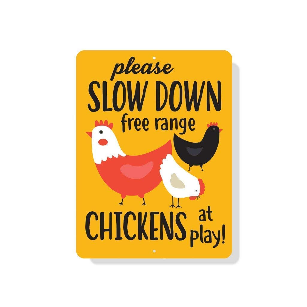 Eletina Case Wall Decor Please Slow Down Free Range Chickens at Play- Outdoor Sign, Aluminum Sign,Metal Sign 12x8 Inch Plate