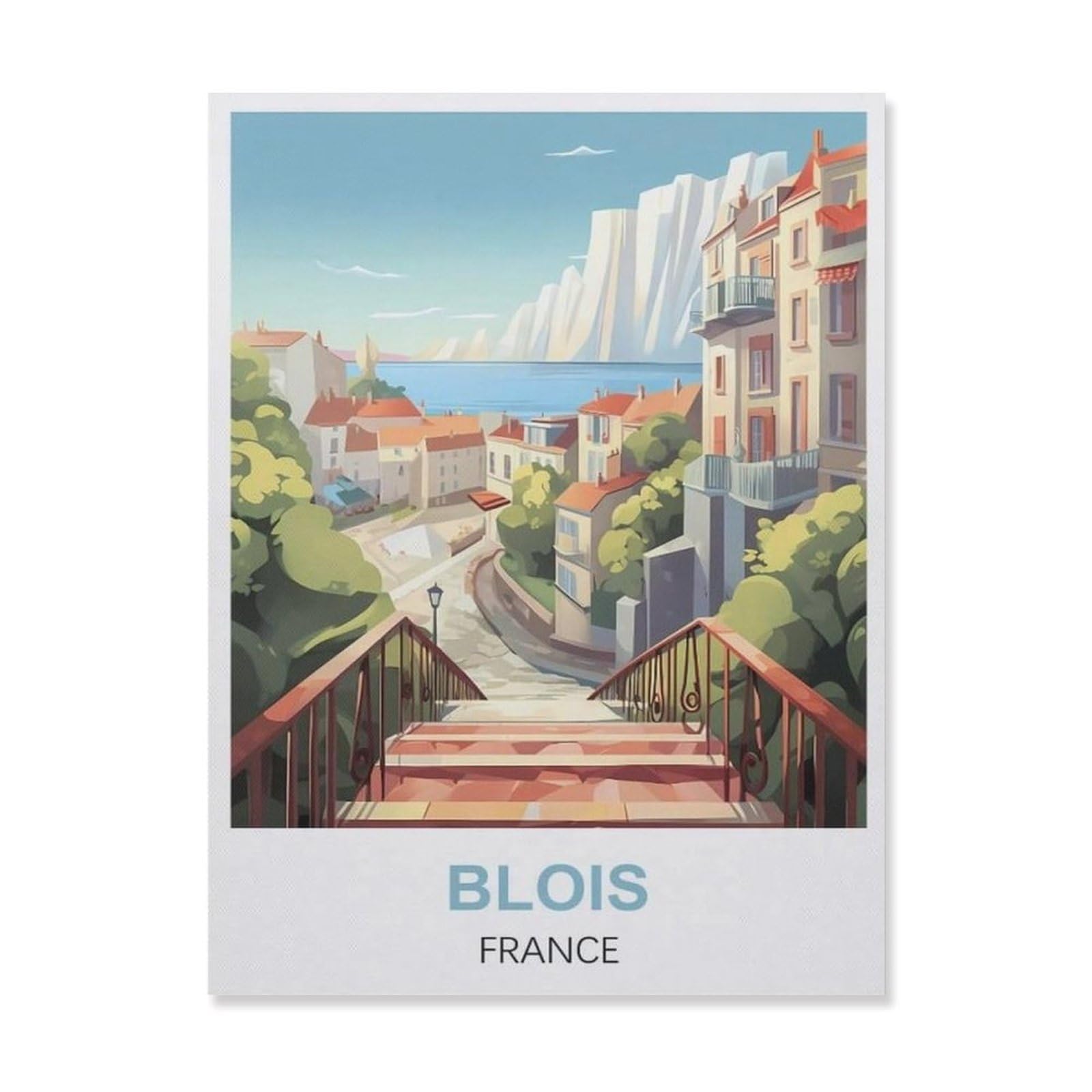 Funny Bathroom Wall Decor Signs，Blois France(20x30cm）
