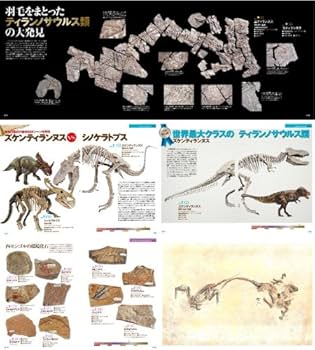 61izXiGdIVL._AC_UF350,